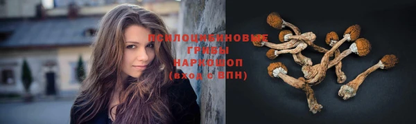 каннабис Алексин