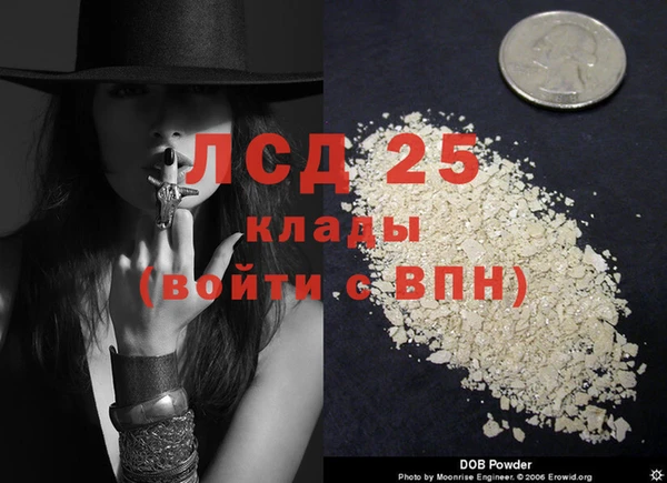 стафф Алзамай