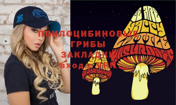 эйфоретик Армянск