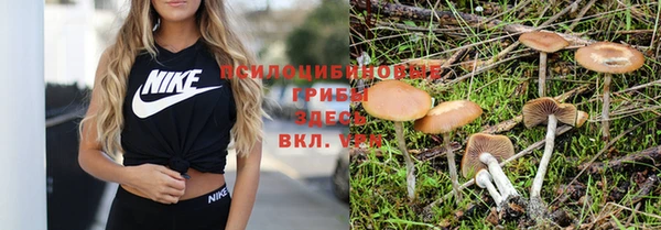 соль курить ск Алексеевка