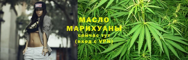 мяу мяу мука Аркадак