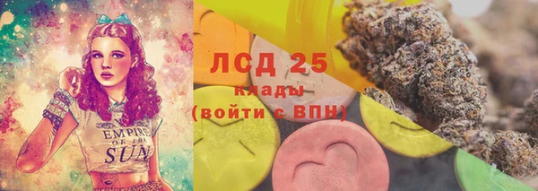 мяу мяу мука Аркадак